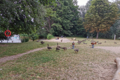 15.07.2026 16:50