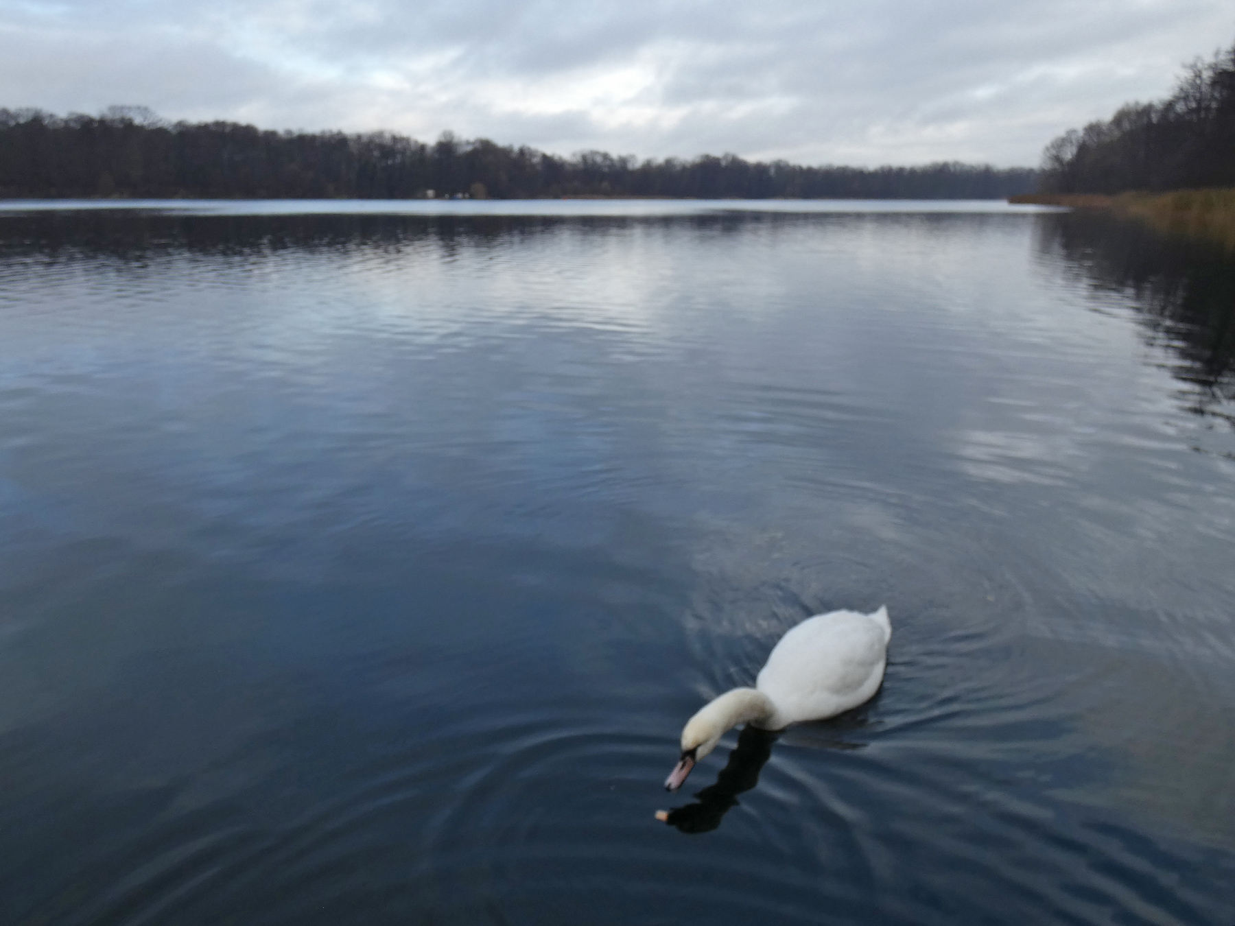 07.12.2025 12:00 07.12.2025 12:00