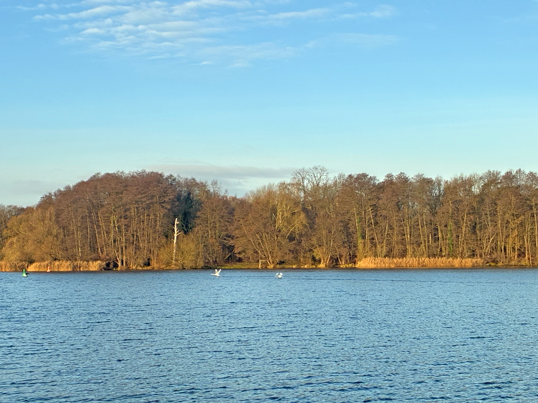 11.12.2025 09:20 11.12.2025 09:20